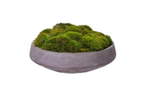 BOWL MOOD MOSS | ACCESSORIES